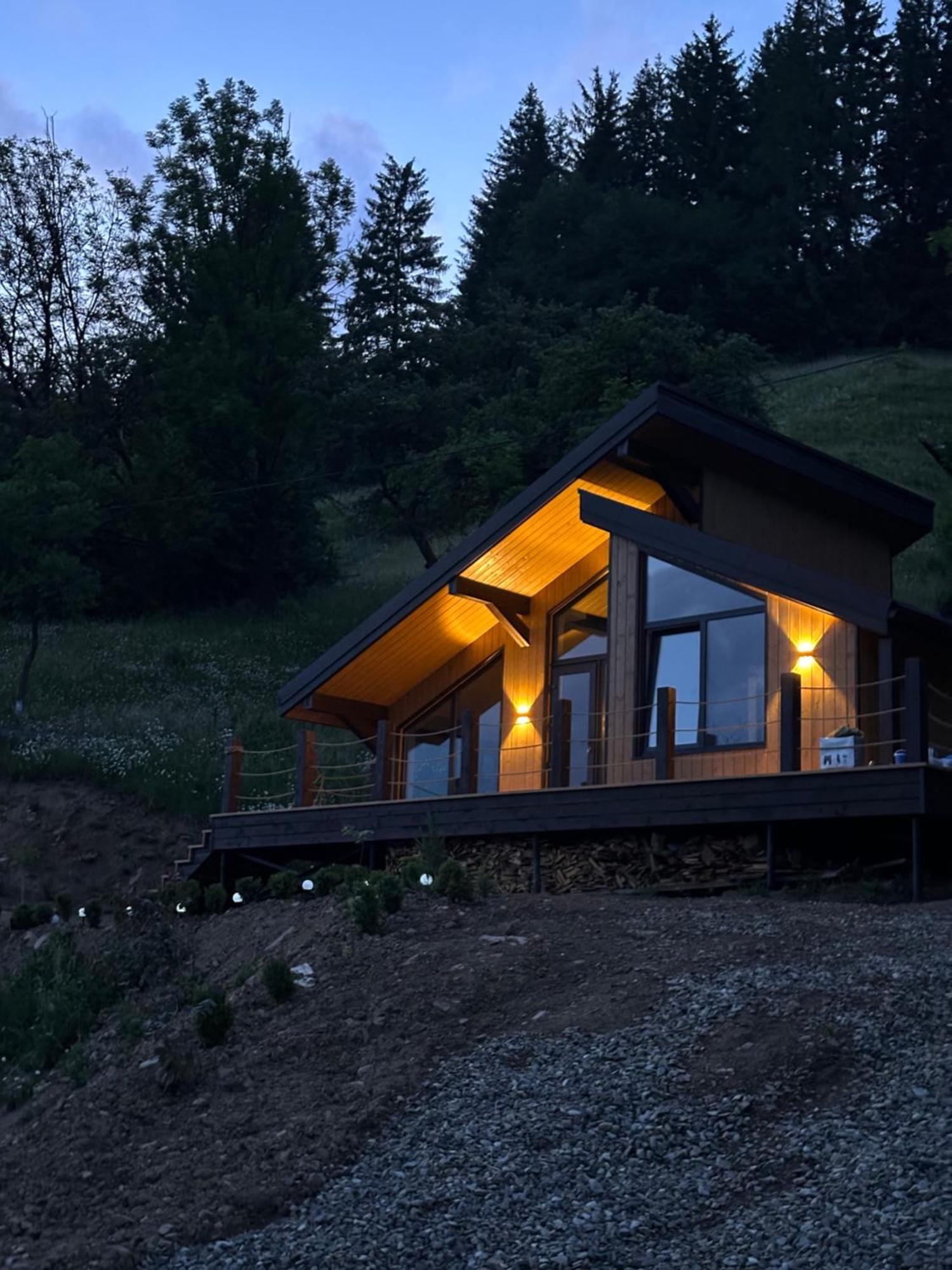 Apartament Petrick House Wierchowina Zewnętrze zdjęcie